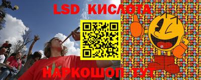 крисы Кимры