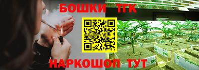 крисы Кимры