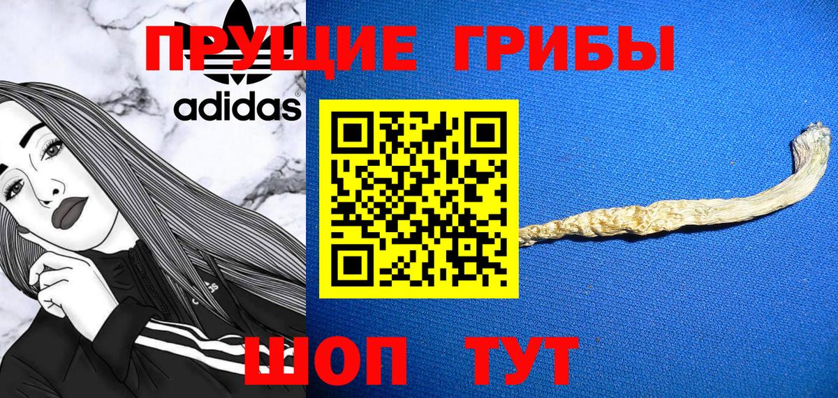 Гусев  Псилоцибиновые грибы ЛСД  купить   Вход с VPN 