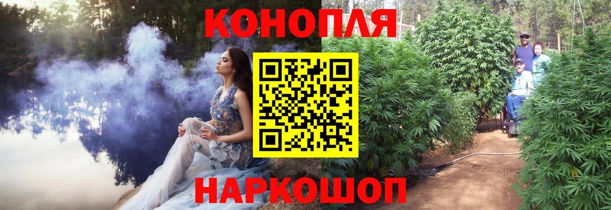 Шишки марихуана сатива  Бошки марихуана LSD WEED  Вход с VPN  Марихуана гибрид  Шишки марихуана сатива  Гусев 